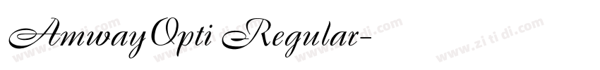 AmwayOpti Regular字体转换